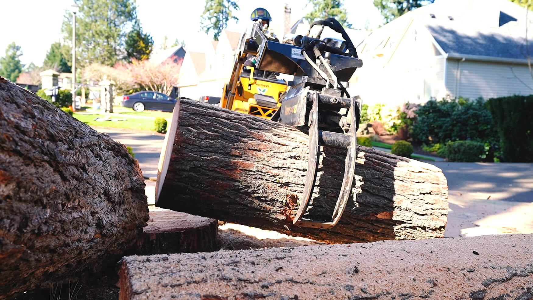 Smart Tree Service provides yard debris removal services