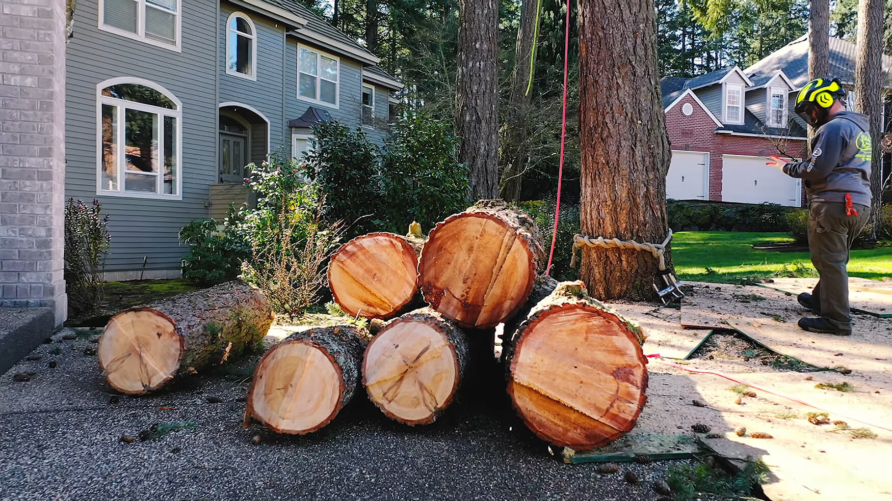 Smart Tree Service provides woodburn tree removal services